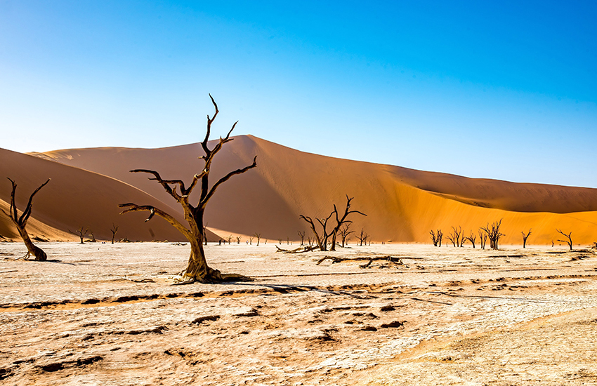 IC Travel Amérique Latine