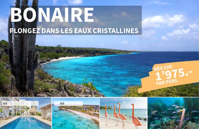 IC Travel Bonaire